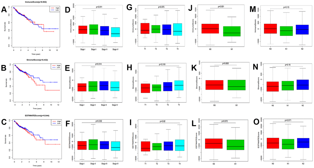 Correlation between prognosis and clinicopathological characteristics. (A–C) Correlation analysis between scores and survival of colon cancer patients (p=0.932, 0.432, and 0.544 for ImmuneScore, StromalScore, and ESTIMATEScore, respectively; log-rank test). (D–F) Correlation analysis of ImmuneScore, StromalScore, and ESTIMATEScore with stage (p=0.011, 0.514, and 0.332, separately; Kruskal–Wallis rank sum test). (G–I) Correlation analysis of three scores with T classification (p=0.975, 0.318, and 0.82, respectively; Kruskal–Wallis rank sum test). (J–L) Correlation analysis of ImmuneScore, StromalScore, and ESTIMATEScore with M classification (p=0.001, 0.695, and 0.072, separately; Wilcoxon rank sum test). (M–O) Correlation analysis of Immune, Stromal, and ESTIMATE Scores with N classification (p=0.13, 0.15, and 0.571, respectively; Kruskal–Wallis rank sum test).