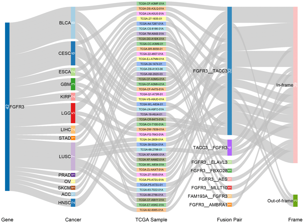 Fusion gene of FGFR3 across 32 TCGA tumor types.