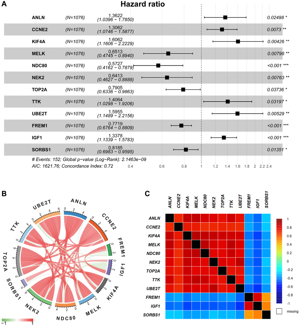 Multivariable Cox regression and correlation analysis. (A) The multivariable Cox regression analysis of 12 selected DEGs were displayed by forest plot. (B–C) The correlation analysis of 12 selected DEGs was displayed by Pearson’s correlation (B) and the bc-GenExMiner software (C), respectively.