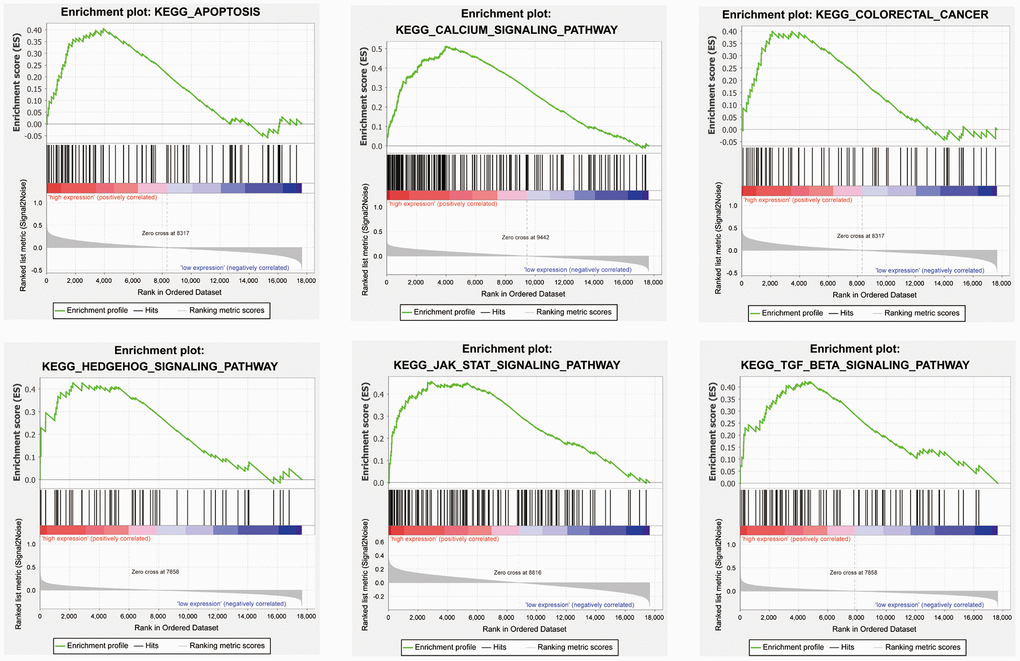 Representative enriched pathways in four candidate genes from gene set enrichment analysis (GSEA) software.