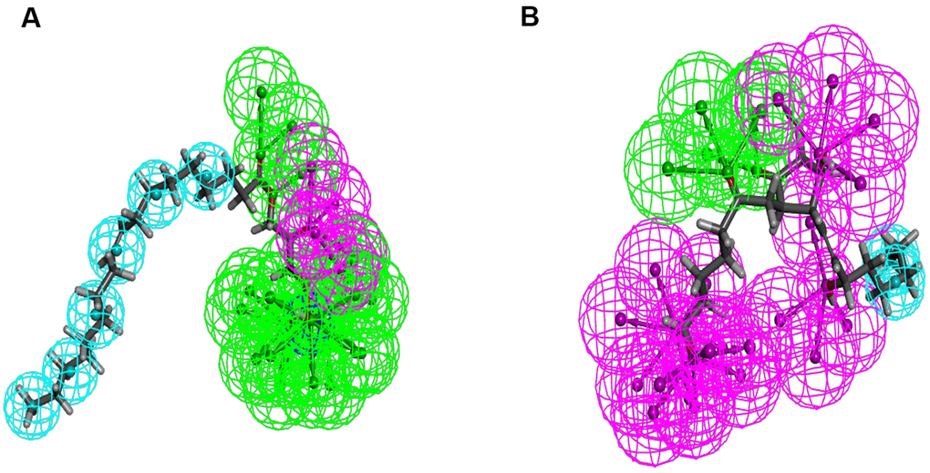 Pharmacophore predictions using 3D-QSAR. (A) ZINC000008860530: Green represents hydrogen acceptor, and blue represents hydrophobic center and purple represents hydrogen donor. (B) ZINC000004096987: Green represents hydrogen acceptor, blue represents hydrophobic center and purple represents hydrogen donor.