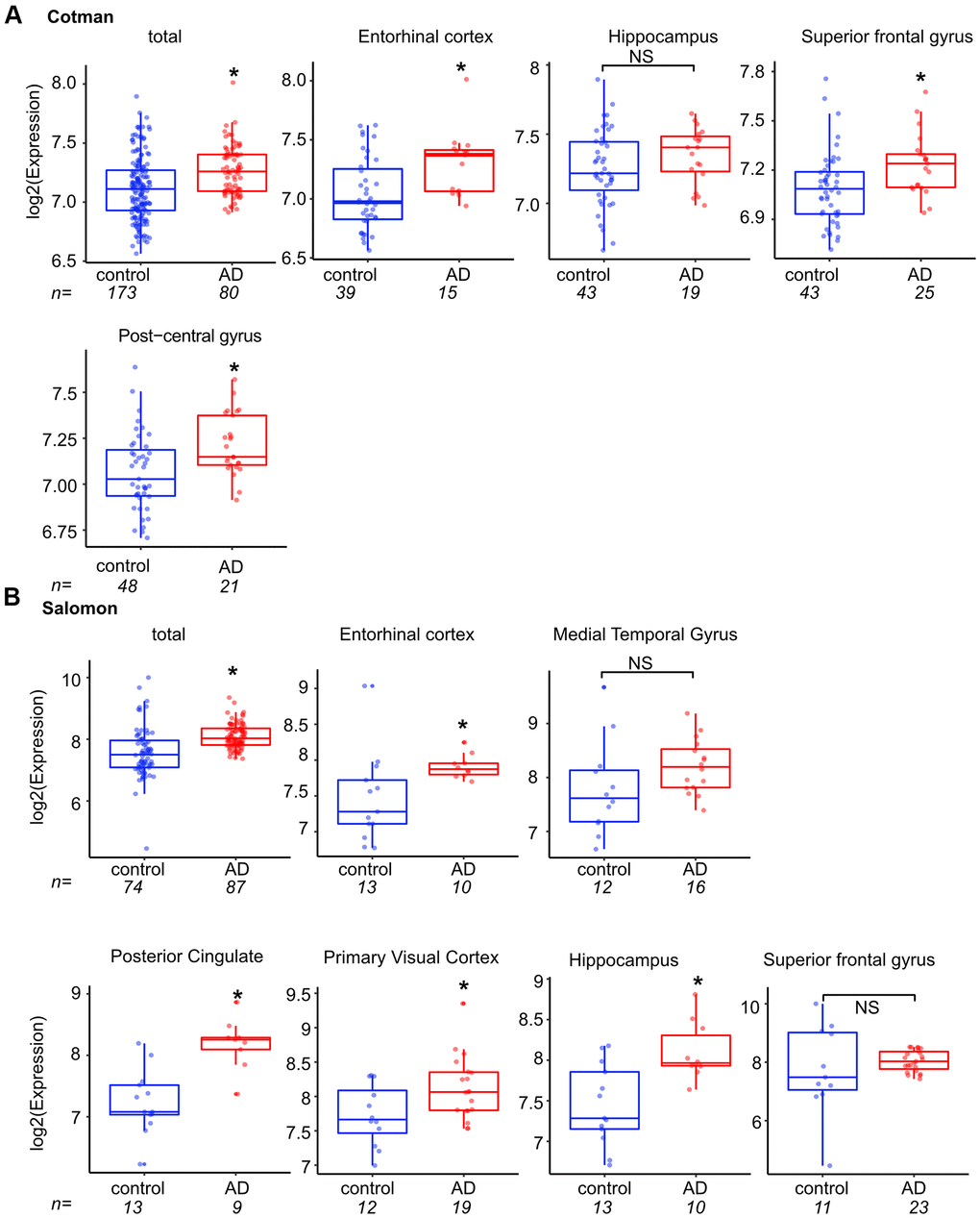 TP73-AS1 is highly expressed in the pathological aging brain. (A) The levels of TP73-AS1 in Alzheimer’s (AD) vs. normal brain are shown. Data were obtained from R2 and the Cotman dataset (GSE48350). In both (A, B) panels, asterisks indicate statistically significant differences as calculated by the two-sample Wilcoxon test (*p B) The levels of TP73-AS1 in Alzheimer’s vs. normal brain are shown. Data were obtained from R2 and the Salomon dataset (GSE5281).