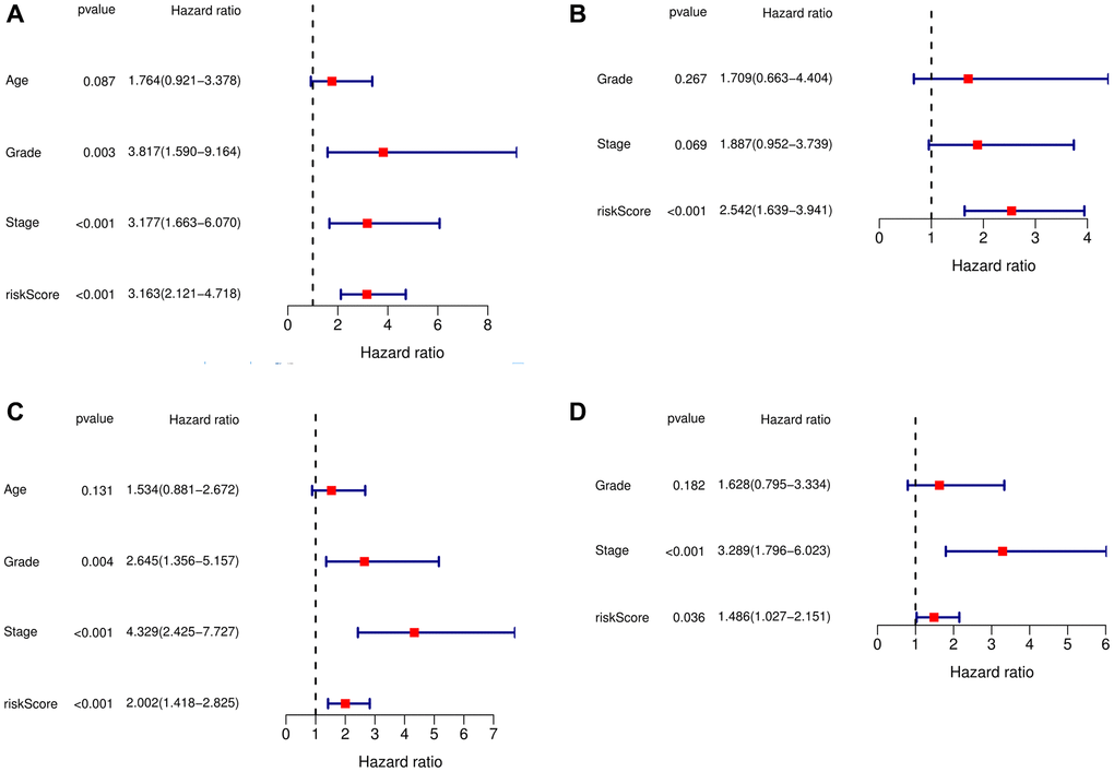 Independent prognostic analysis of risk scores and clinical parameters. (A) Univariate Cox regression analysis in the training cohort. (B) The multivariate Cox regression analysis in the training cohort. (C) The univariate Cox regression analysis in the testing cohort. (D) The multivariate Cox regression analysis in the testing cohort.