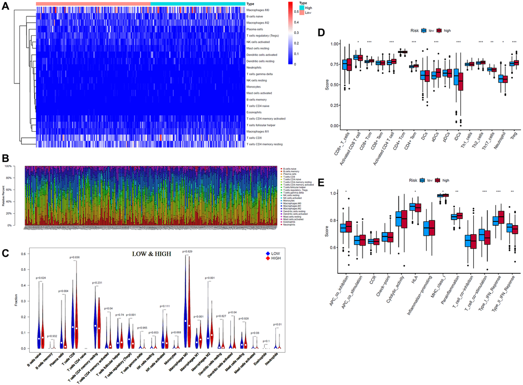 Tumor-infiltrating immune cells (TIICs) analysis of 243 endometrial cancer (EC) patients (133 low-risk patients and 110 high-risk patients) (CIBERSORT: P ). (A, B) Composition of 22 TIICs. (C) Wilcoxon test analysis of 22 TIICs between low- and high-risk EC patients. (D, E) Single-sample gene set enrichment analysis (ssGSEA) of specific immune cells and immune functions (*p **p ***p 