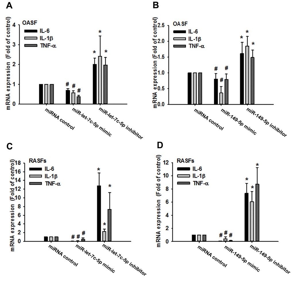 MiR-let-7c-5p and miR-149-5p regulate IL-1β, IL-6 and TNF-α expression in OASFs and RASFs. After transfecting OASFs (A, B) and RASFs (C, D) with the miR-let-7c-5p and miR-149-5p mimics or their respective inhibitors, IL-1β, IL-6 and TNF-α expression was examined by qPCR.