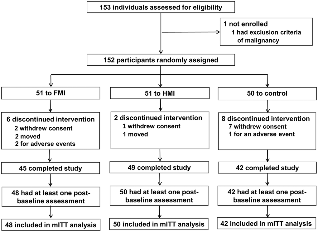 Trial profile. FMI: facility-based multidomain intervention; HMI: home-based multidomain intervention; mITT: modified intention-to-treat.