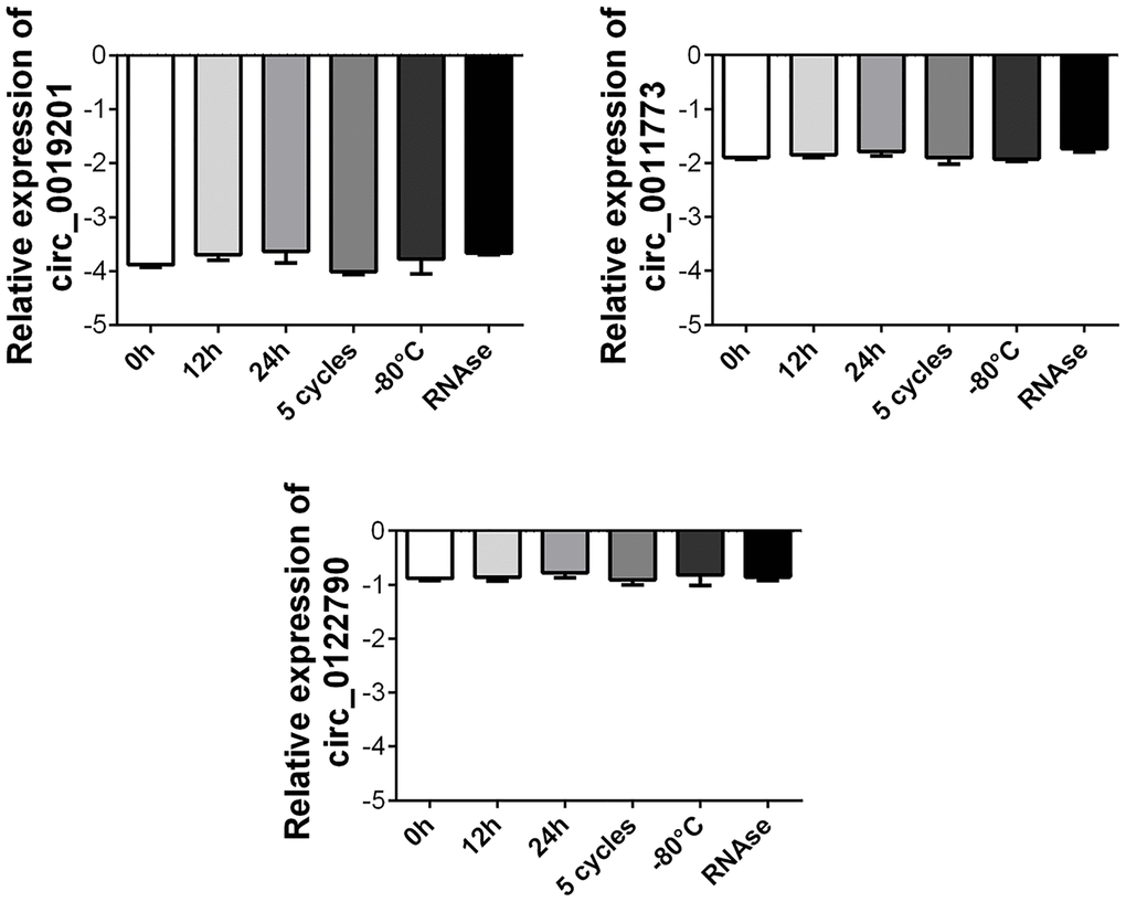 Stability detection of the three circRNAs in human plasma. RT-qPCR was applied for detecting the expression level of the three circRNAs. Data was presented as mean ± SEM with log-transformed. No significant difference was observed in each group.