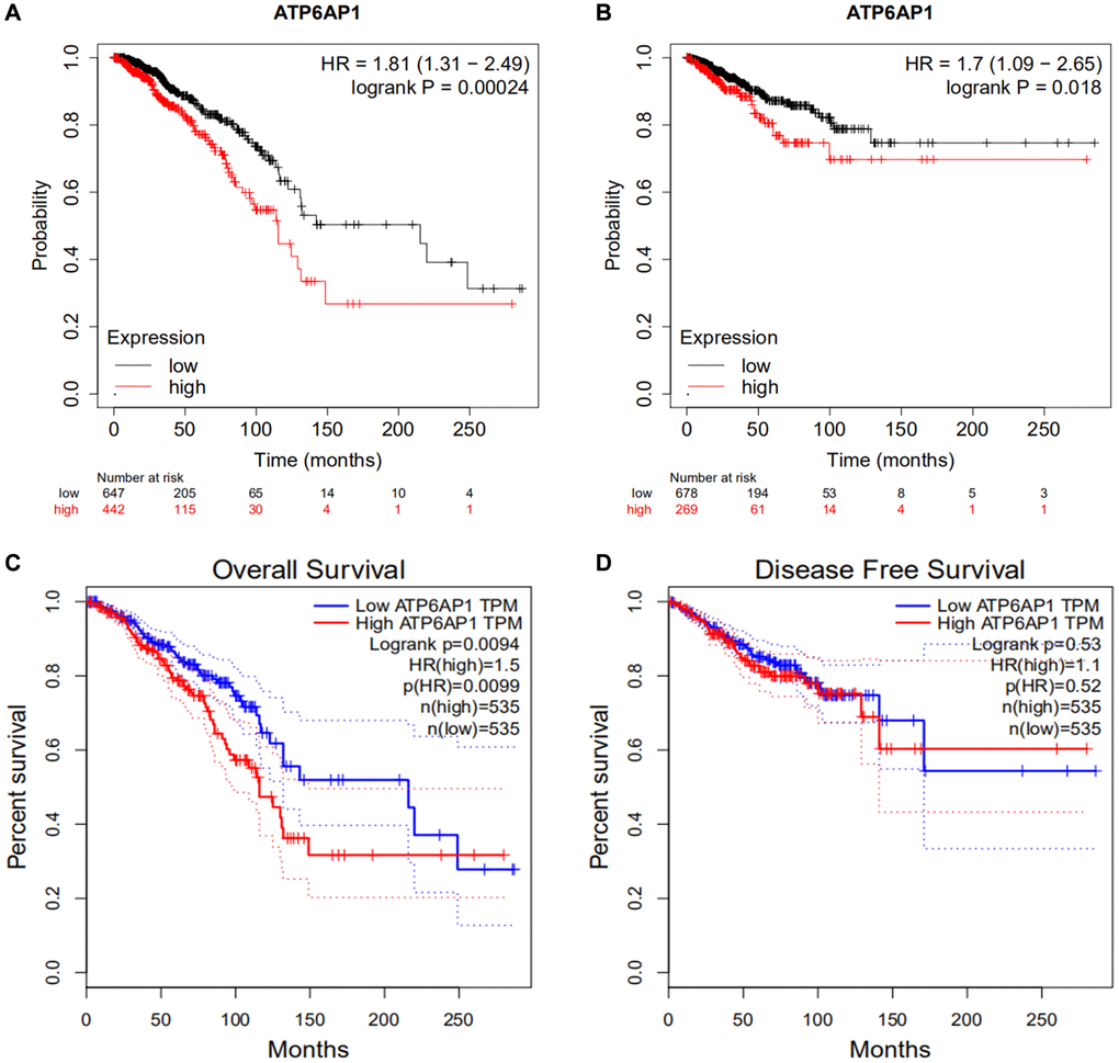 Survival curves in BC patients with higher and lower ATP6AP1 levels. (A, B) OS and RFS of BC patients from the Kaplan-Meier plotter database (n = 1089 and n = 947, respectively). (C, D) OS and DFS curves of BC patients from GEPIA (n = 1070 and n = 1070, respectively).