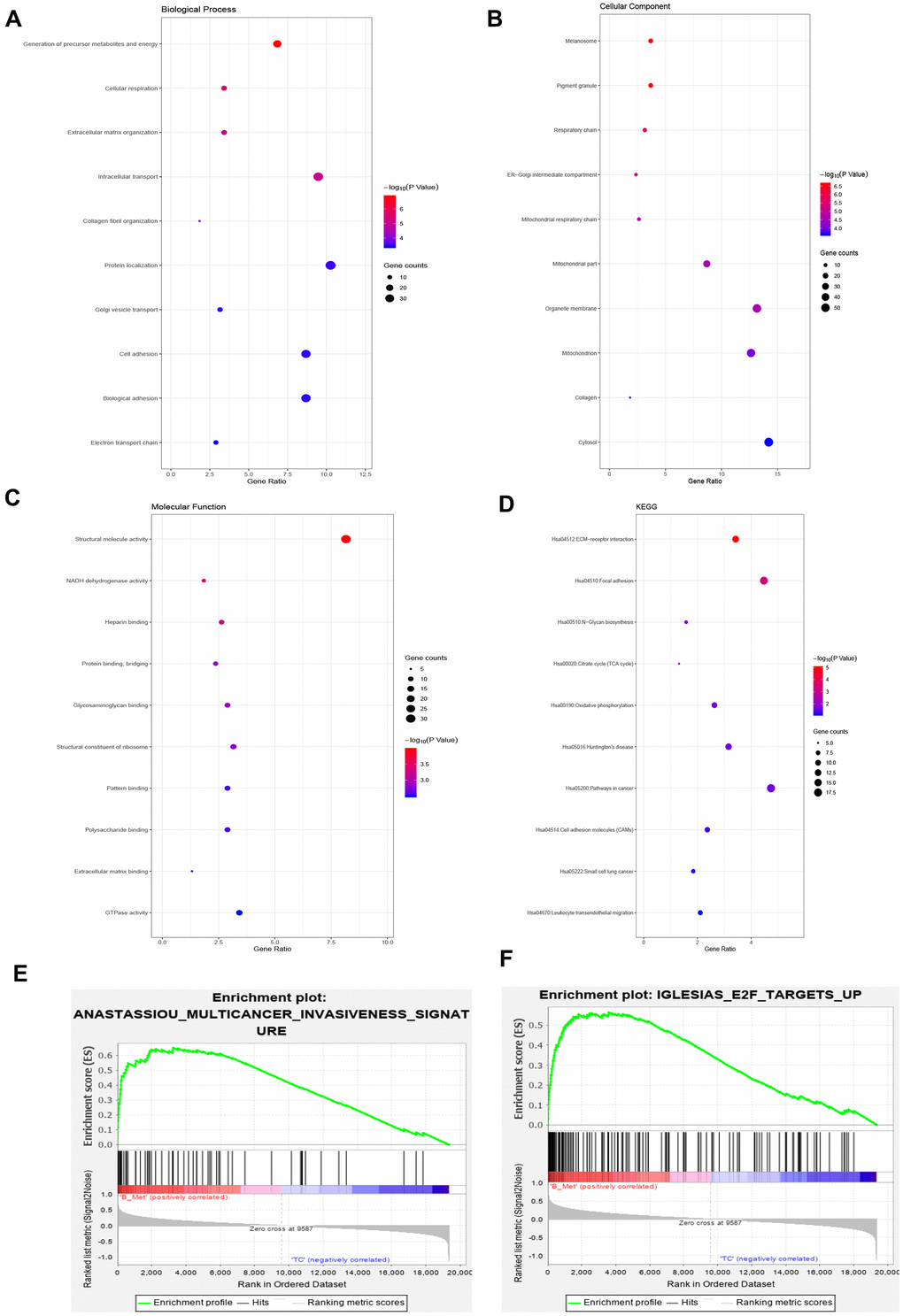 Gene ontology, Kyoto Encyclopedia of Genes and Genomes and gene set enrichment analysis of the overlapping DEGs. (A–C) Top 10 GO terms enriched in biological processes (A), cellular components (B), and molecular functions (C). (D) KEGG pathway analysis. (E) Enrichment of genes in ANASTASSIOU