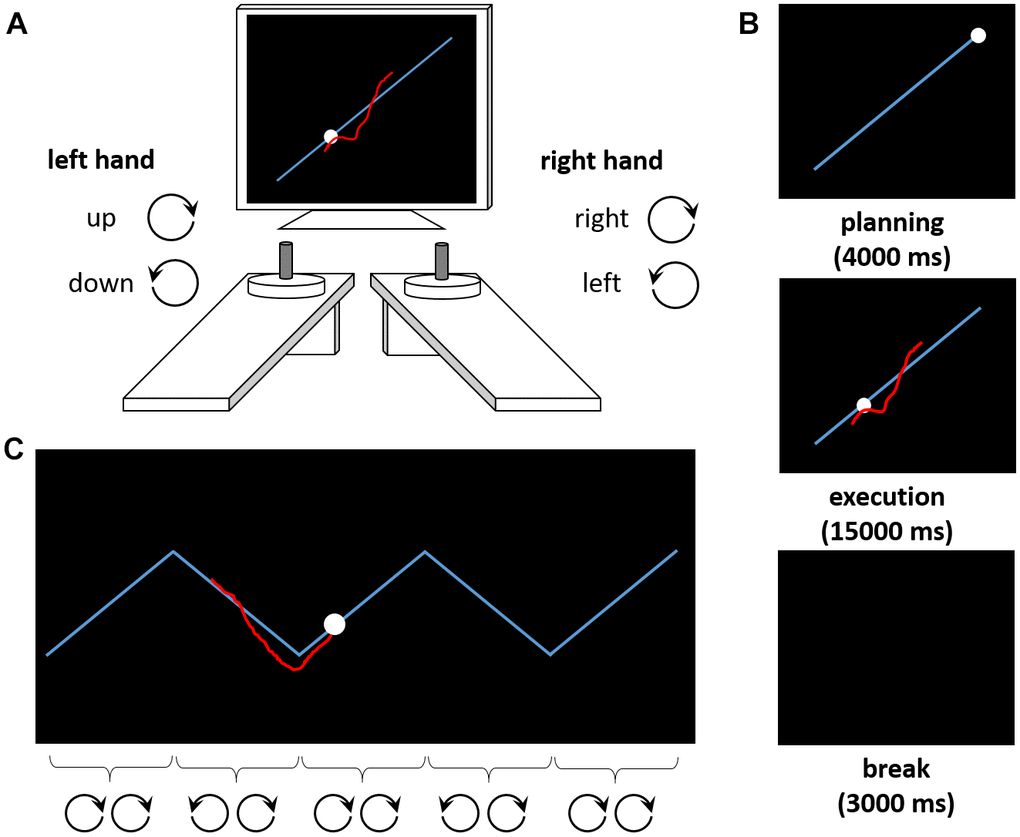 The Bimanual Tracking Task (BTT). (A) The task setup consists of two dials placed in front of a computer screen. Participants are asked to rotate both dials simultaneously to track a moving dot along a target line. Rotating the left dial clockwise (counterclockwise) causes the red cursor to move upward (downward) along the Y-axis, whereas rotating the right dial clockwise (counterclockwise) causes the cursor to move to the right (left) along the X-axis. (B) Exemplary trial sequence. After a planning phase of 4000 ms, the movement is executed (15000 ms). A break of 3000 ms precedes the next trial. (C) Exemplary trial from the zigzag condition. The target trajectory requires periodic switches in the rotation of one (here: left) hand, whereas the other (here: right) hand should continue its movement. For illustration purposes, the correct rotation directions for both hands are indicated for each segment of the zigzag trajectory here.