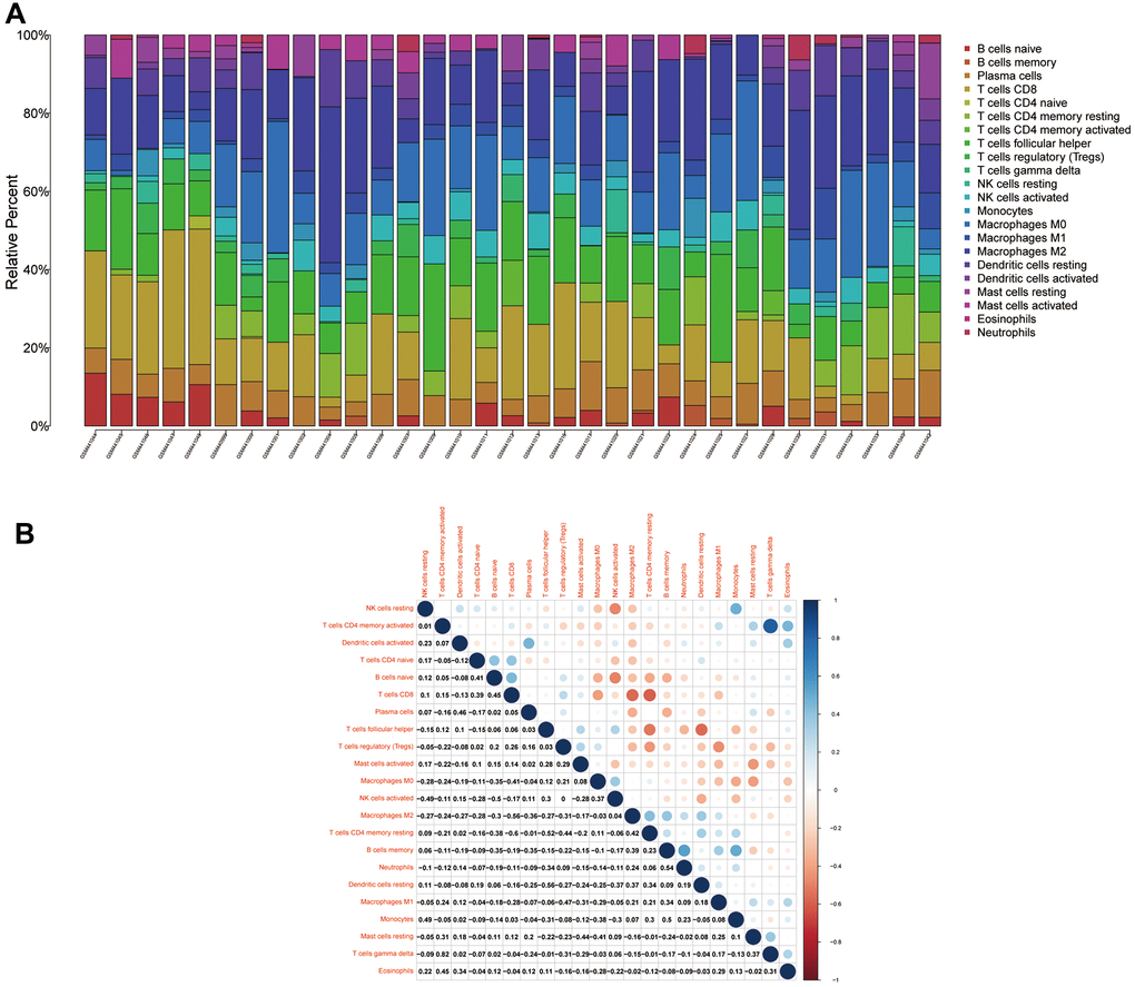 Immune cell compositions and correlation heat map. (A) Plot showing the composition of immune cells for each sample. (B) Plot showing the correlation heat map between each immune cells. Red indicates positivity correlation and blue indicates negative correlation.