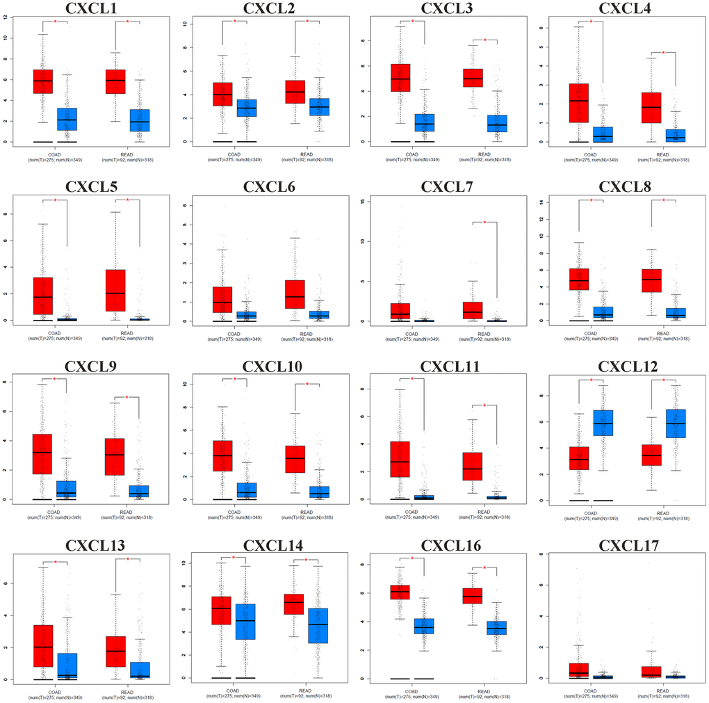 The mRNA expression pattern of CXC chemokines (CXCL1/2/3/4/5/6/7/8/9/10/11/12/13/14/16/17) from GEPIA between CRC tissues (red) and normal tissues (blue). The P-value was set at 0.05, * indicate that the results are statistically significant.