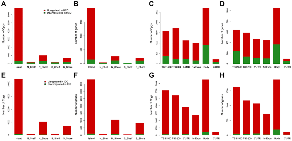 Distribution of differentially methylated sites and genes in HCC and ICC. Distribution of differentially methylated sites according to CpG island location in HCC (A) and ICC (E). Distribution of differentially methylated genes according to CpG island location in HCC (B) and ICC (F). Distribution of differentially methylated sites according to the distance to the TSS in HCC (C) and ICC (G). Distribution of differentially methylated genes according to the distance to the TSS in HCC (D) and ICC (H).