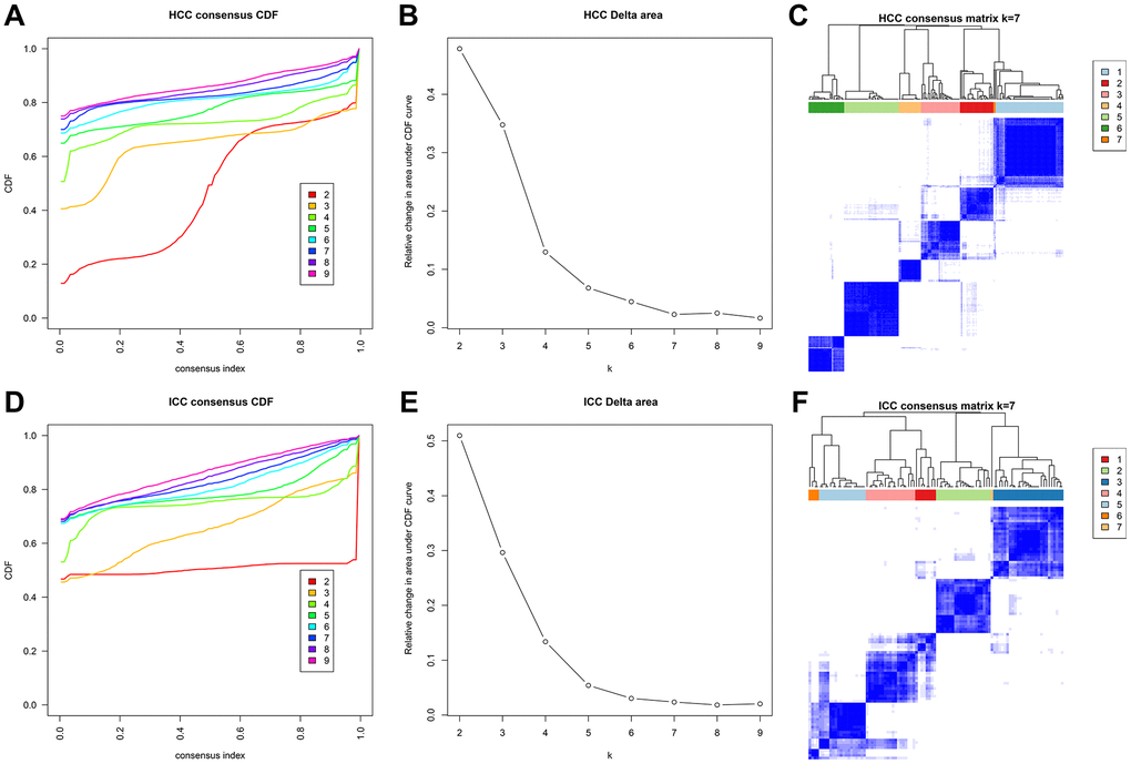 Methylation typing based on independent prognostic sites. Consensus cumulative distribution function (CDF) of HCC (A) and ICC (D). The X-axis represents the consensus index, and the Y-axis represents the CDF curve. The area under the CDF curve for each category in HCC (B) and ICC (E). The X-axis represents the category number k, and the Y-axis represents the CDF curve. Consensus matrix in HCC (C) and ICC (F). Different clusters are annotated with indicated numbers and colors. Color gradients in matrix represent consensus values, white corresponds to 0 and dark blue to 1.