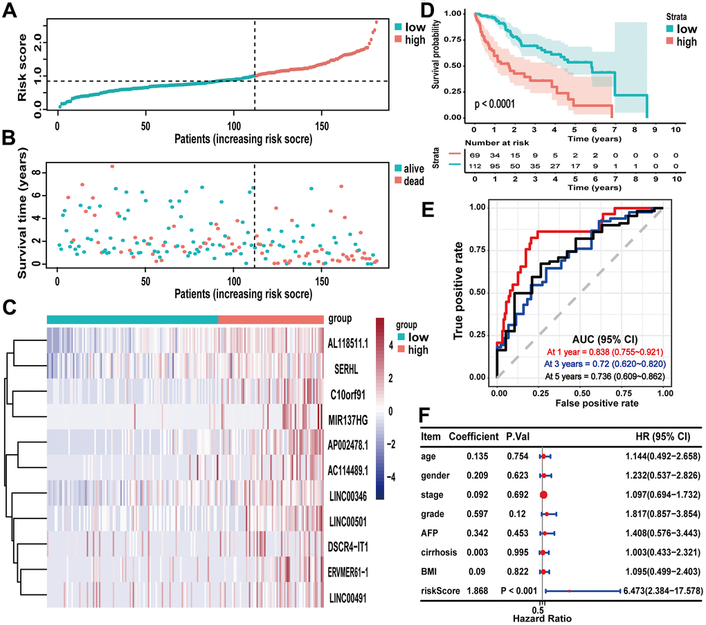 Evaluating the predictive power of the lncRNA signature in the training cohort. (A–C) Distribution of risk score, survival status, and lncRNA expression of patients in the training cohort; (D) Kaplan-Meier survival curve of the high-risk and low-risk groups in the training cohort; (E) time-dependent ROC curves and AUC based on the training cohort for 1-year, 3-year, and 5-year overall survival; (F) forest plot for multivariate Cox regression analysis.