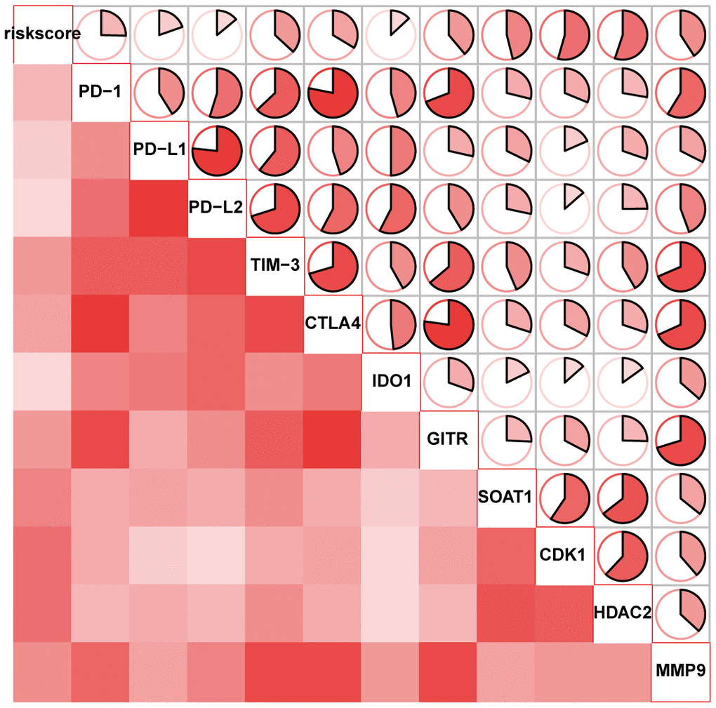 The correlation of the lncRNA signature with ICB therapy-related genes.