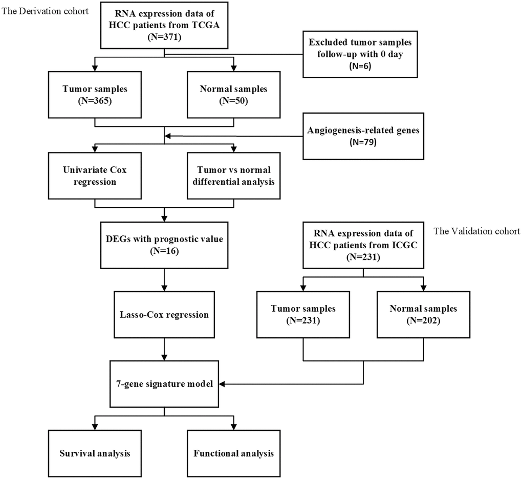 The flow chart of data collection and analyses.