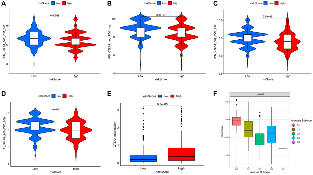 Comparison of immunophenoscore (IPS) between high and low risk groups under different immune checkpoint states. In the case of both CTLA4 and PD-1 double-positive (A) or double-negative (B), or PD-1 positive but CTLA4 negative (C), the low-risk group had higher IPS. (D) The high-risk group with CTLA4 positive but PD-1 negative had higher IPS. (E) The expression level of CTLA4 in different risk groups. (F) The risk scores under different immune subtypes.