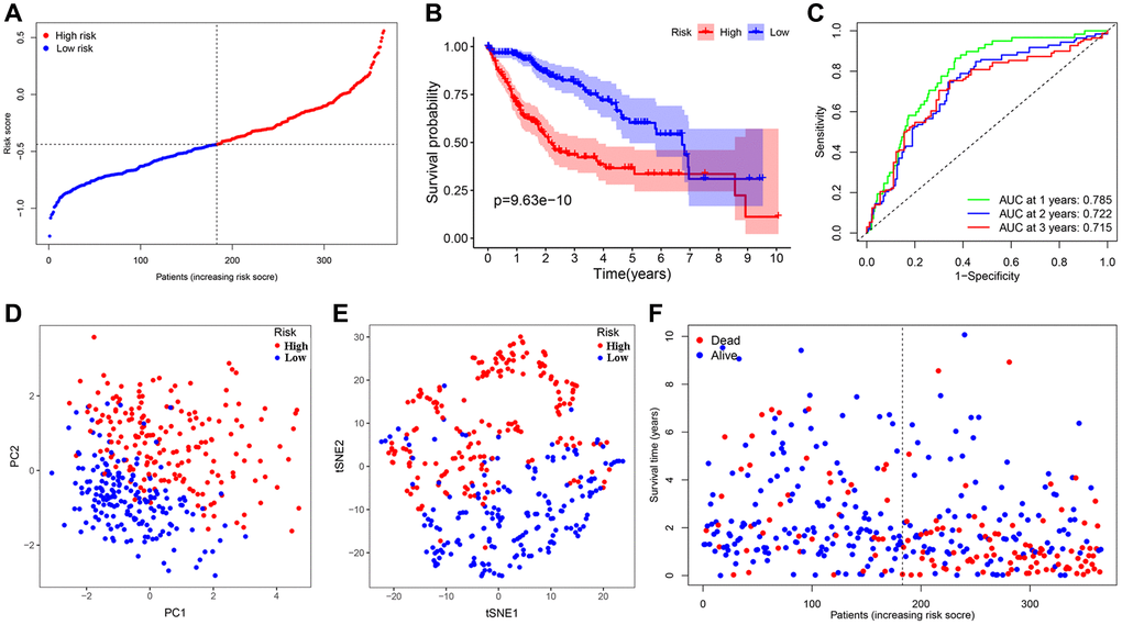 Establishment and prognostic analysis of a 7-gene signature in the TCGA cohort. (A) The distribution and median value of the risk scores in the TCGA cohort. (B) Kaplan-Meier curves for the difference in OS of HCC patients between the high-risk group and low-risk group in the TCGA cohort. (C) The AUC of time-dependent ROC curves verified the prognostic performance of the 7-gene signature in the TCGA cohort. (D) The PCA plot of the TCGA cohort. (E) The t-SNE analysis of the TCGA cohort. (F) The distributions of OS status, OS and risk score in the TCGA cohort.