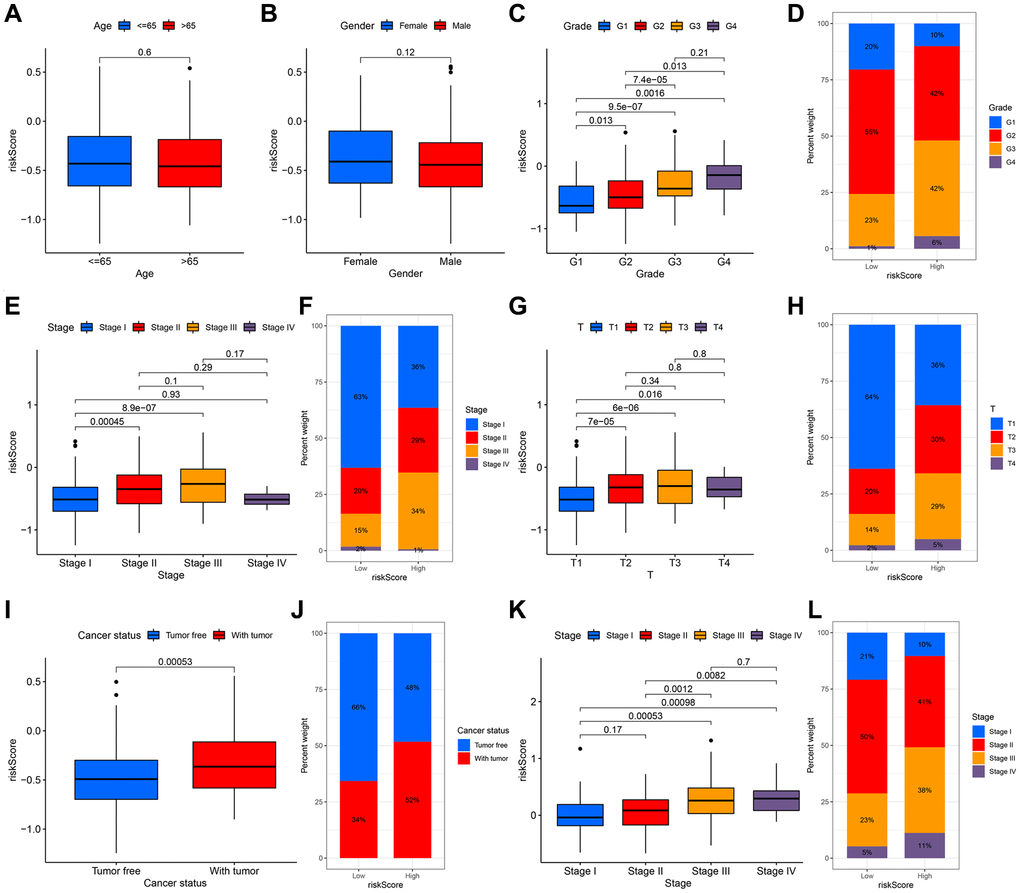 The relationship between the signature and clinical characteristics of HCC patients. There was no difference in risk scores for patients of different ages (A) and genders (B). With the increase of grade (C, D), stage (E, F) and T classification (G, H), the risk had an upward trend. There was a significant difference in the with tumor and tumor free patients (I, J). The stage difference could be verified in the ICGC cohort (K, L).