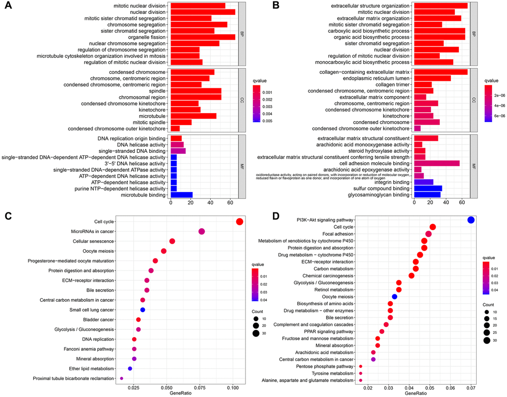 Functional enrichment analyzes of DEGs. The most significant or shared GO enrichment and KEGG pathways in the TCGA cohort (A, C) and the ICGC cohort (B, D). From top to bottom, the barplot represents the biological process, cellular component, and molecular function, respectively.