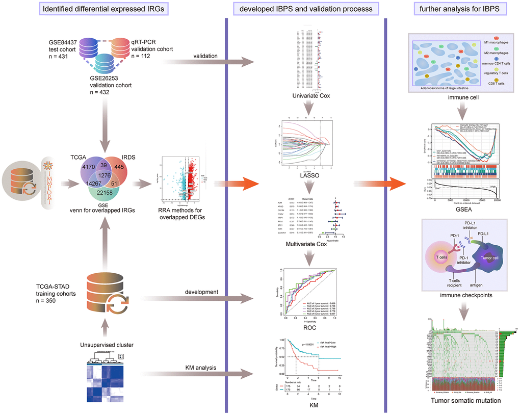 Entire analytical process of this study.