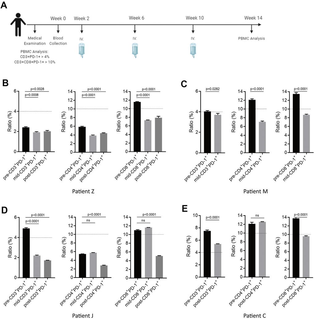 Potential immune normalization using NKM-cell therapy in sub-healthy individuals. (A) The schedule of NKM-cell therapy for sub-healthy individuals. After physical examination, 20–30 ×108 NKM cells were used for each injection, and three injections were administered in one course of treatment, with a time interval of 1 month. Detection of the therapeutic effect during NKM-cell treatment was undertaken before the second injection. Detection of the final effect was undertaken 1 month after the end of NKM-cell treatment. (B–E) Efficacious NKM-cell therapy for immune normalization in four sub-healthy individuals. Patient Z (B), Patient M (C), Patient J (D) and Patient C (E) were recruited. Proportions of CD3+PD-1+ cells/PBMCs and CD3+CD8+PD-1+ cells/CD3+CD8+ cells were measured before (pre-), during (mid-) and after (post-) NKM-cell treatment. The P-values are shown.