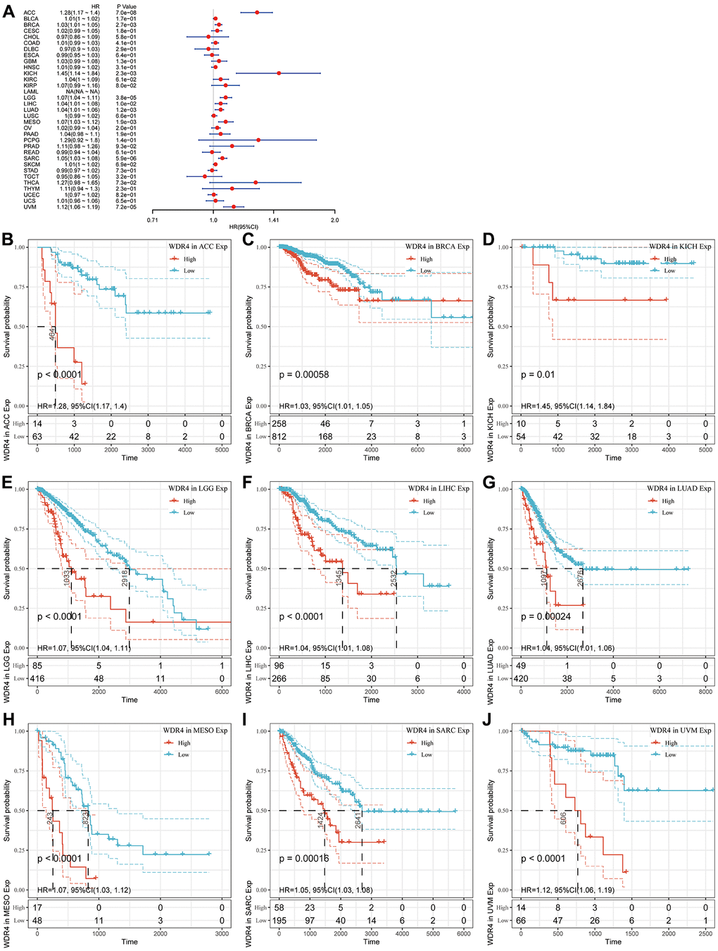 Association of WDR4 expression with patient disease-specific survival (DSS). (A) The forest plot shows the relationship of WDR4 expression with DSS. (B–J) Kaplan-Meier analyses show the association between WDR4 expression and DSS.