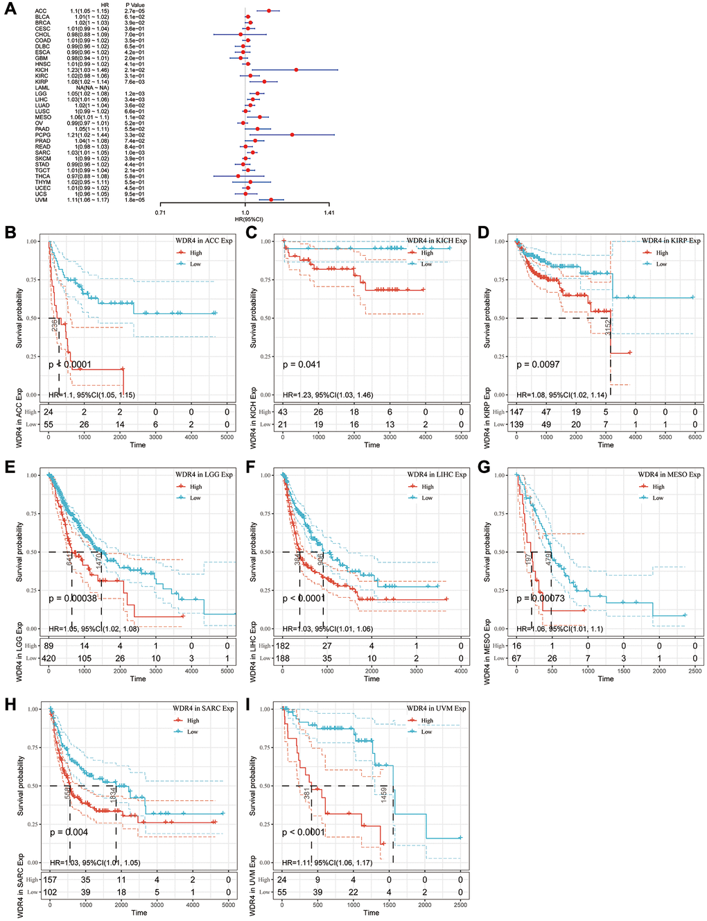 Association of WDR4 expression with patient progression-free interval (PFI). (A) The forest plot shows the relationship of WDR4 expression with PFI. (B–I) Kaplan-Meier analyses show the association between WDR4 expression and PFI.