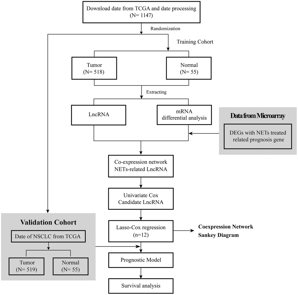 Flow diagram of this research.