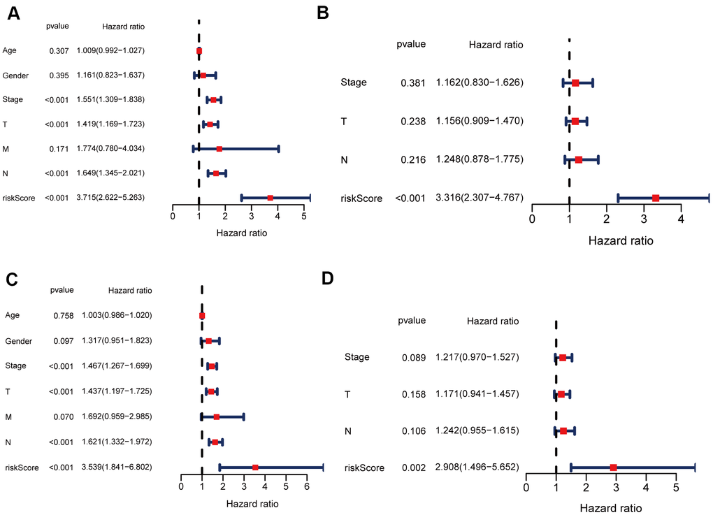 Univariate and multivariate Cox regression analyses for OS. (A, B) Analyses of the training cohort. (C, D) Analyses of validation cohort.