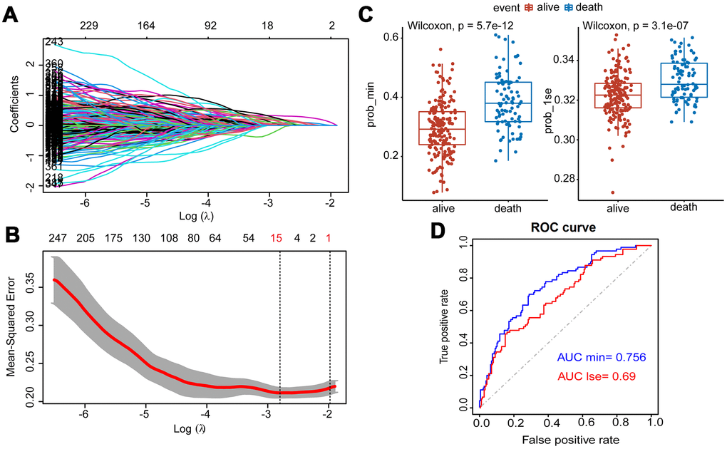 Construction of Lasso Cox regression model using training dataset of MM. (A) A coefficient profile plot was produced against the log (λ) sequence. (B) Tuning parameter (λ) selection in the Lasso model used 10-fold cross-validation via minimum criteria. Dotted vertical lines were drawn at the optimal values by using the minimum criteria and the 1 standard error of the minimum criteria (the 1-SE criteria). (C) Survival probabilities (Prob-min and Prob-lse) were predicted by two Lasso models based on two ideal parameters Log λ.lse and Log λ.min. The Wilcoxon test was used to compare the different survival outcomes. (D) ROC curves analysis and the values of AUC were used to compare two Lasso models based on Log λlse and Log λmin.