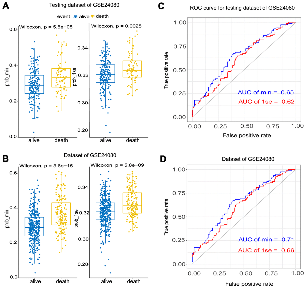 The validation of the Lasso model using testing and the whole dataset of GSE24080. (A, B) Survival probabilities (Prob-min and Prob-lse) were predicted by two Lasso models based on two ideal parameters Log λ.lse and Log λ.min using testing and the whole dataset of GSE24080. The Wilcoxon test was used to compare the different survival outcomes. (C, D) ROC curves analysis and the values of AUC were used to compare two Lasso models based on Log λ.lse and Log λ.min using testing and the whole dataset of GSE24080.