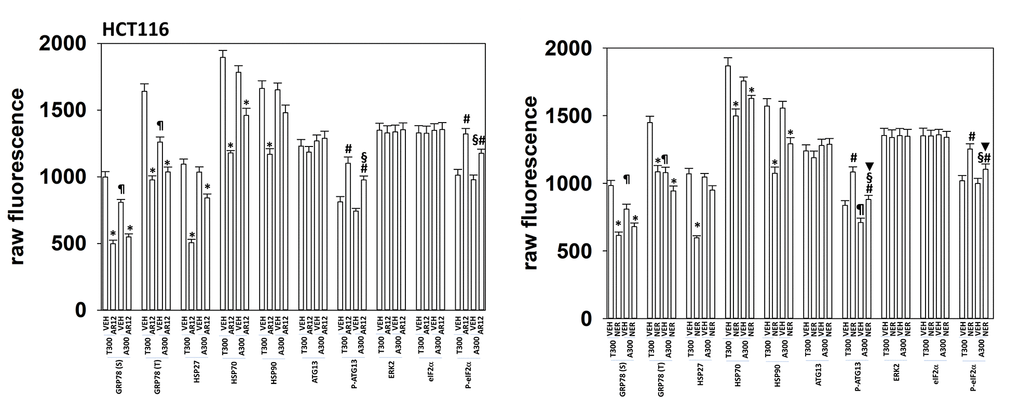 HCT116 ATG16L1 A300 cells make less GRP78 and have a weaker stimulation of eIF2α phosphorylation by AR12 or neratinib. HCT116 (ATG16L1 T300 or ATG16L1 A300) cells were treated with vehicle control, AR12 (2 mM) or neratinib (50 nM). Cells were fixed in place after 6h and the expression of the indicated proteins and phospho-proteins determined by in-cell immuno-staining. (n = 3 +/-SD). * p 