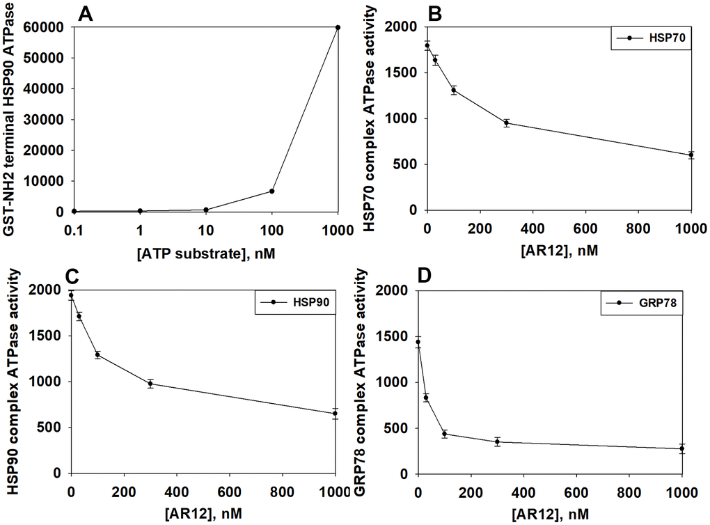 AR12 inhibits the chaperone ATPase activities of HSP90, HSP70 and GRP78. (A) A GST-HSP90 NH2-terminal fragment containing the ATP binding domain of the chaperone was synthesized in E. coli and purified from other bacterial proteins using glutathione Sepharose. The GST-HSP90 NH2-terminal fragment protein was not eluted off the Sepharose beads. Equal portions of beads were immediately aliquoted into individual wells in a 96 well plate. Beads were resuspended in kinase reaction buffer in triplicate, and incubated for 30 min at 37° C. The reaction was started by addition of increasing concentrations of the ATP-lite substrate. The plate was removed from the incubator and placed into a Vector 3 plate reader to determine the luminescence of the reactions under each condition (n = 3 (× 3) +/-SD). (B, C) GBM12 cells were transfected with a plasmid to express HSP70-GFP or to express FLAG-tagged HSP90. Twenty-four h after transfection chaperone proteins were immuno-precipitated using their tags in the presence of phosphatase inhibitors. Equal portions of precipitate Sepharose beads were immediately aliquoted into individual wells in a 96 well plate. Beads were resuspended in ATPase reaction buffer containing vehicle control or AR12 (30 nM; 100 nM; 300 nM; 1 μM) in triplicate, and incubated for 30 min at 37° C. The reaction was started by addition of ATP-lite substrate (2 μM). The plate was removed from the incubator and placed into a Vector 3 plate reader to determine the luminescence of the reactions under each treatment condition (n = 3 (× 3) +/-SD). (D) GBM12 cells were transfected with a plasmid to express GRP78. Twenty-four h after transfection GRP78 was immuno-precipitated using an antibody directed to the COOH terminal portion of the protein in the presence of phosphatase inhibitors. Equal portions of precipitate Sepharose beads were immediately aliquoted into individual wells in a 96 well plate. Beads were resuspended in ATPase reaction buffer containing vehicle control or AR12 (30 nM; 100 nM; 300 nM; 1 μM) in triplicate, and incubated for 60 min at 37° C. The reaction was started by addition of ATP-lite substrate (2 μM). The plate was removed from the incubator and placed into a Vector 3 plate reader to determine the luminescence of the reactions under each treatment condition (n = 3 (× 3) +/-SD).