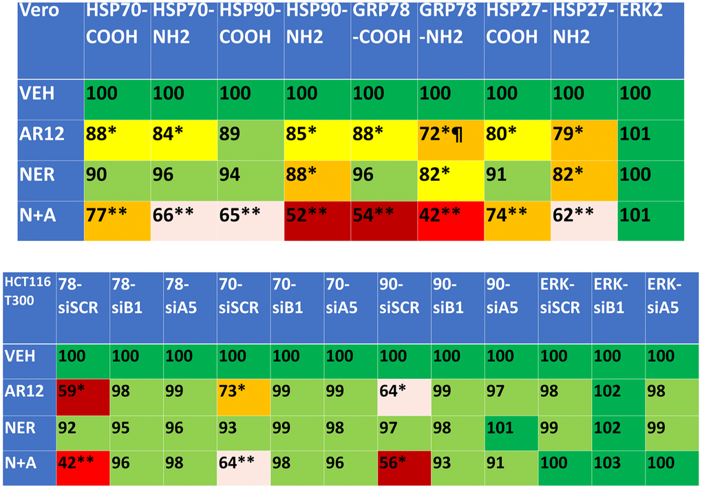 Neratinib and AR12 combine to reduce the expression of HSP90, HSP70, GRP78 and HSP27 via autophagy. Upper: Vero cells were treated with vehicle control, AR12 (2 μM), neratinib (50 nM) or the drugs in combination for 6h. Cells were fixed in place and in cell immunostaining performed to determine chaperone expression using antibodies whose epitopes are localized at the NH2- and COOH-termini of each protein (n = 3 +/-SD) * p 