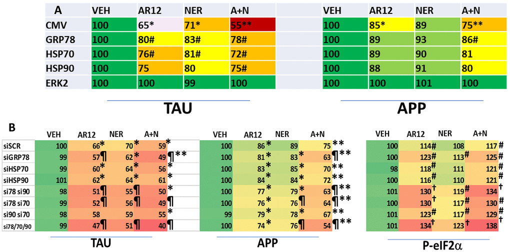 GRP78, HSP90 and HSP70 play important roles in maintaining the stability of Tau and APP. (A) HCT116 ATG16L1 T300 cells were transfected with an empty vector plasmid (CMV) or with plasmids to express GRP78, HSP70 or HSP90, and were co-transfected to express either Tau or APP. Twenty-four h after transfection cells were treated with vehicle control, AR12 (2 μM), neratinib (50 nM) or the drugs in combination for 24h. Cells were fixed in place and the expression of Tau and APP determined (n = 3 +/-SD). # p B) HCT116 ATG16L1 T300 cells were transfected with a scrambled control siRNA (siSCR) or with siRNA molecules to knock down expression of GRP78, HSP70 or HSP90, as indicated in the panel. In parallel, cells were transfected to express either Tau or APP. Twenty-four h after transfection, cells were fixed in place and the expression of Tau and APP determined (n = 3 +/-SD). Vehicle control transfected with a scrambled siRNA is defined at 100%. * p 