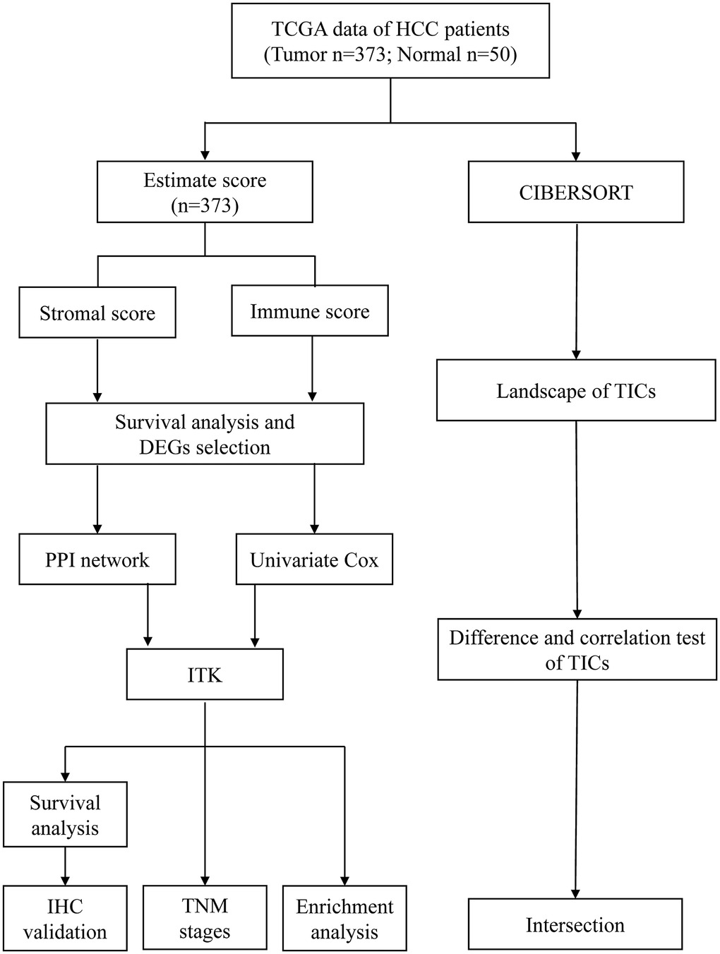 Analysis workflow of this study.