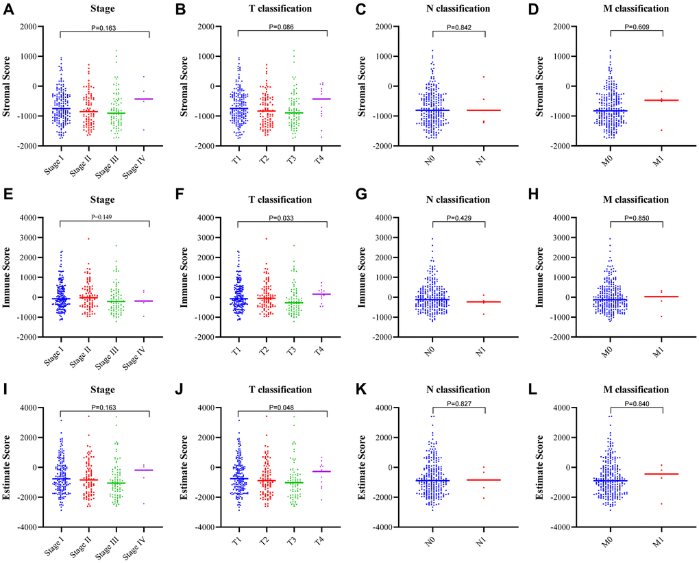 Correlation between the estimate scores and clinicopathological staging characteristics. (A–D) Correlation of the stromal score with the TNM stage. (E–H) Correlation of the immune score with the TNM stage. (I–L) Correlation of the estimate score with the TNM stage.