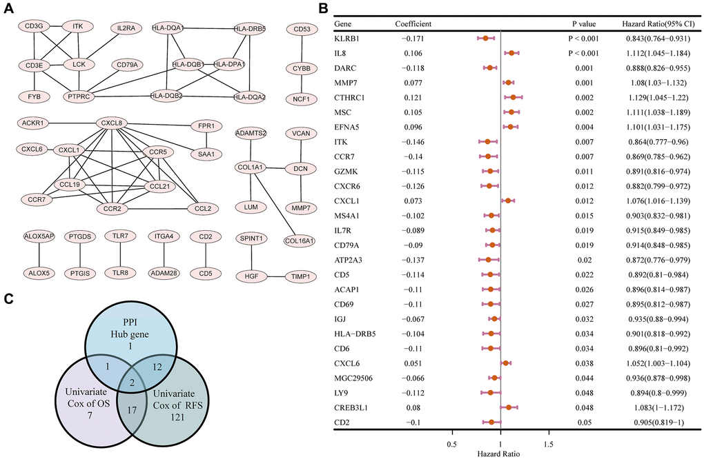 PPI network and univariate COX regression analysis. (A) PPI network of the nodes with combined score > 0.95. (B) Forest plot of the univariate COX regression analysis for OS. (C) Venn diagram of the factors commonly shared by hub genes in PPI and factors correlated with OS and RFS generated by univariate COX regression analysis.