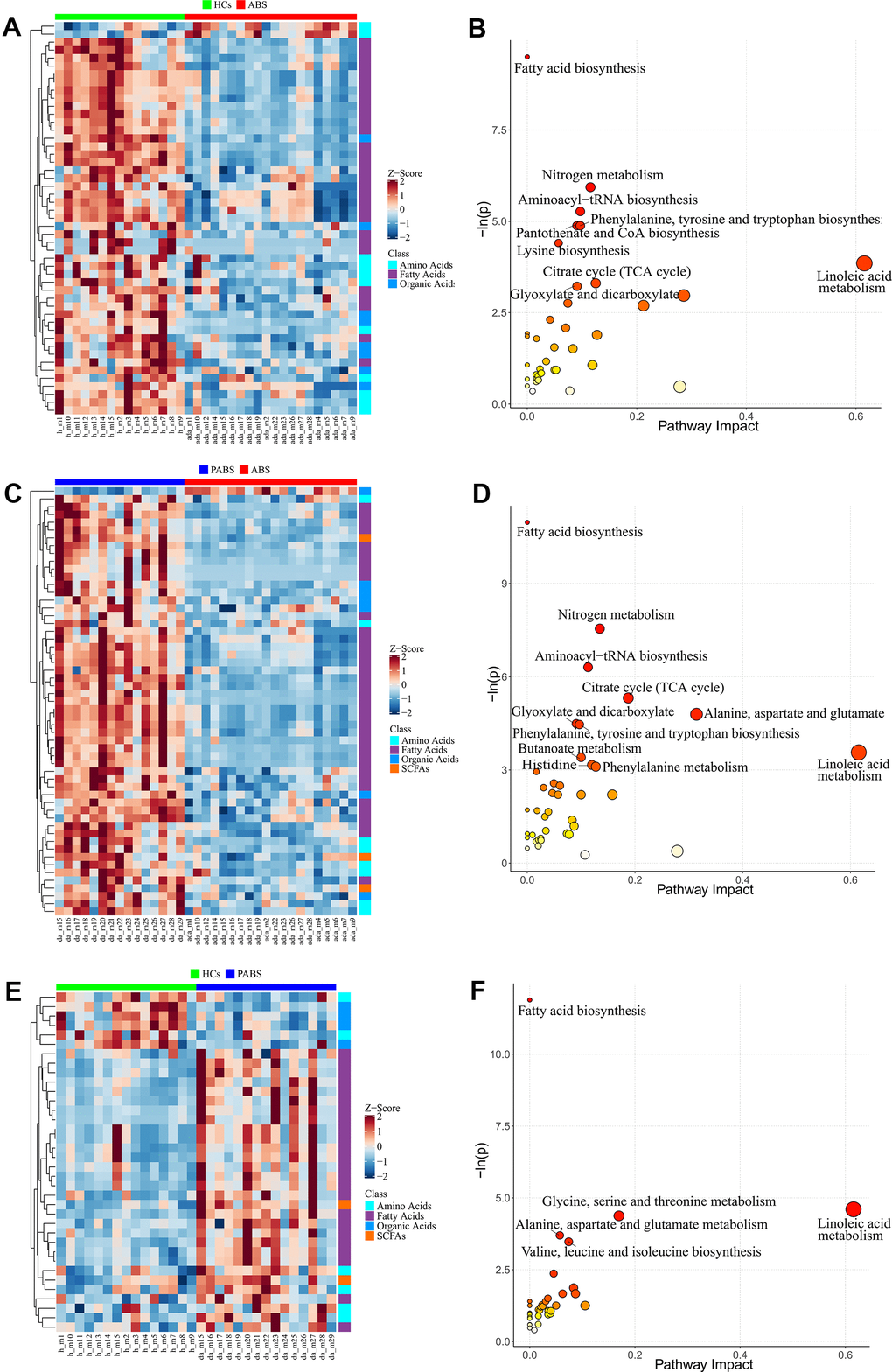 Differential metabolites and pathway enrichment analysis between each two groups. (A, B) The heatmap and pathway impact analysis of differential metabolites between healthy controls and acute heroin withdrawal. (C, D) The heatmap and pathway impact analysis of differential metabolites between long-term heroin withdrawal and acute heroin withdrawal. (E, F) The heatmap and pathway impact analysis of differential metabolites between healthy controls and long-term heroin withdrawal. Note that pathway with P