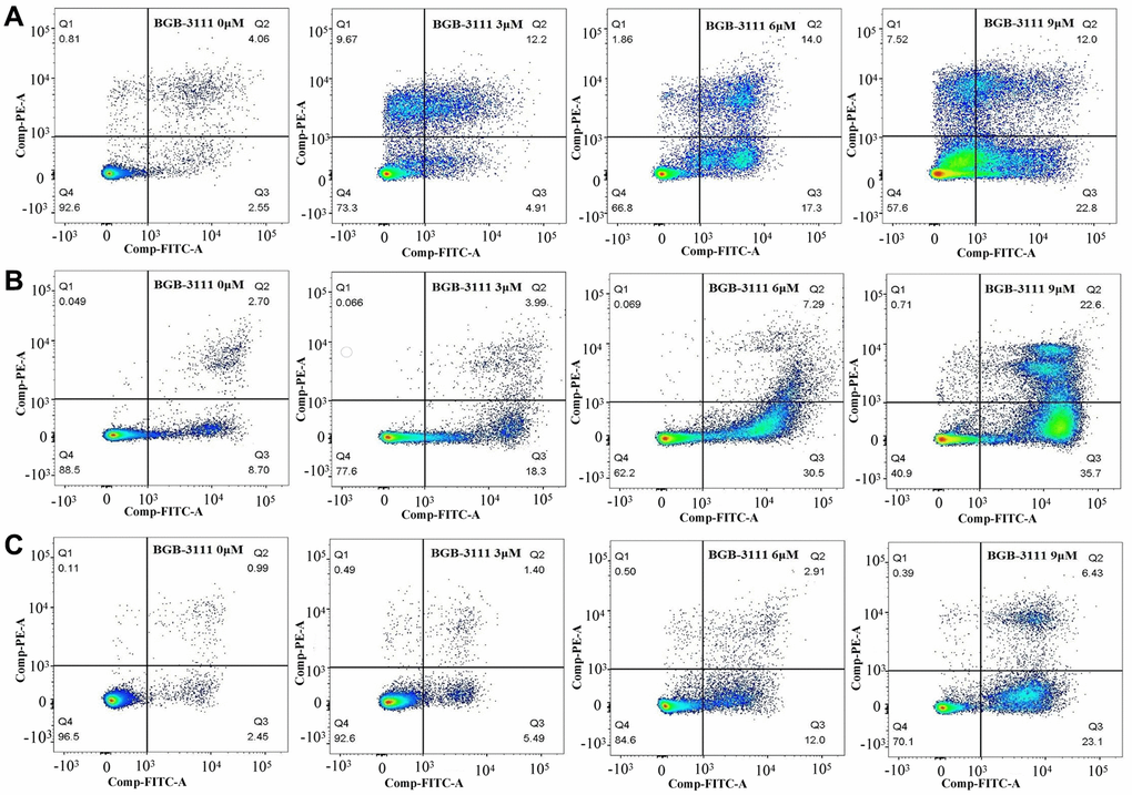 Cell apoptosis in the MCL cell lines after being treated with BGB-3111. The cell apoptosis of Jeko-1 (A) Rec-1 (B) and Z138 (C) treated with BGB-3111 at the doses of 0 μM, 3 μM, 6 μM, and 9 μM for 48 h. The cell apoptotic rate was detected by flow cytometry.