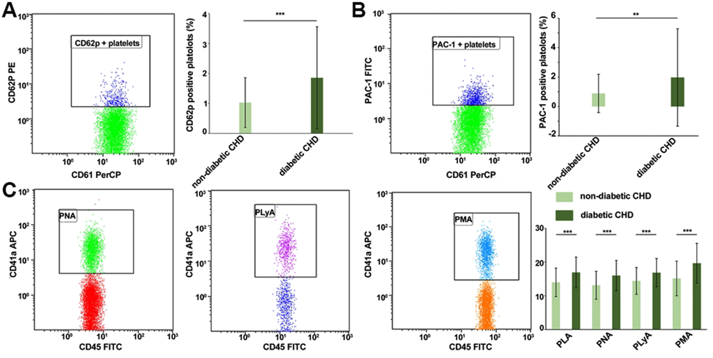 Comparison of platelet activation and platelet-leukocyte aggregate levels in the diabetic CHD group and non-diabetic CHD group. (A) Detection of CD62p expression level on platelet surface by flow cytometry of diabetic CHD group and non-diabetic CHD group. (B) Detection of PAC-1 expression level on platelet surface by flow cytometry of diabetic CHD group and non-diabetic CHD group. (C) Detection of platelet-leukocyte (CD45+ CD41a+) adhesion by flow cytometry of diabetic CHD group (n=121) and non-diabetic CHD group (n=102). Values are expressed as mean±SD. Analyses were done by t-test for independent samples. *PPP