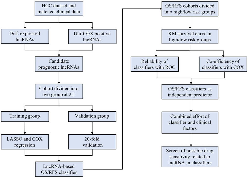 The scheme of the study indicates the major steps of building the lncRNA-based classifiers and following evaluation.