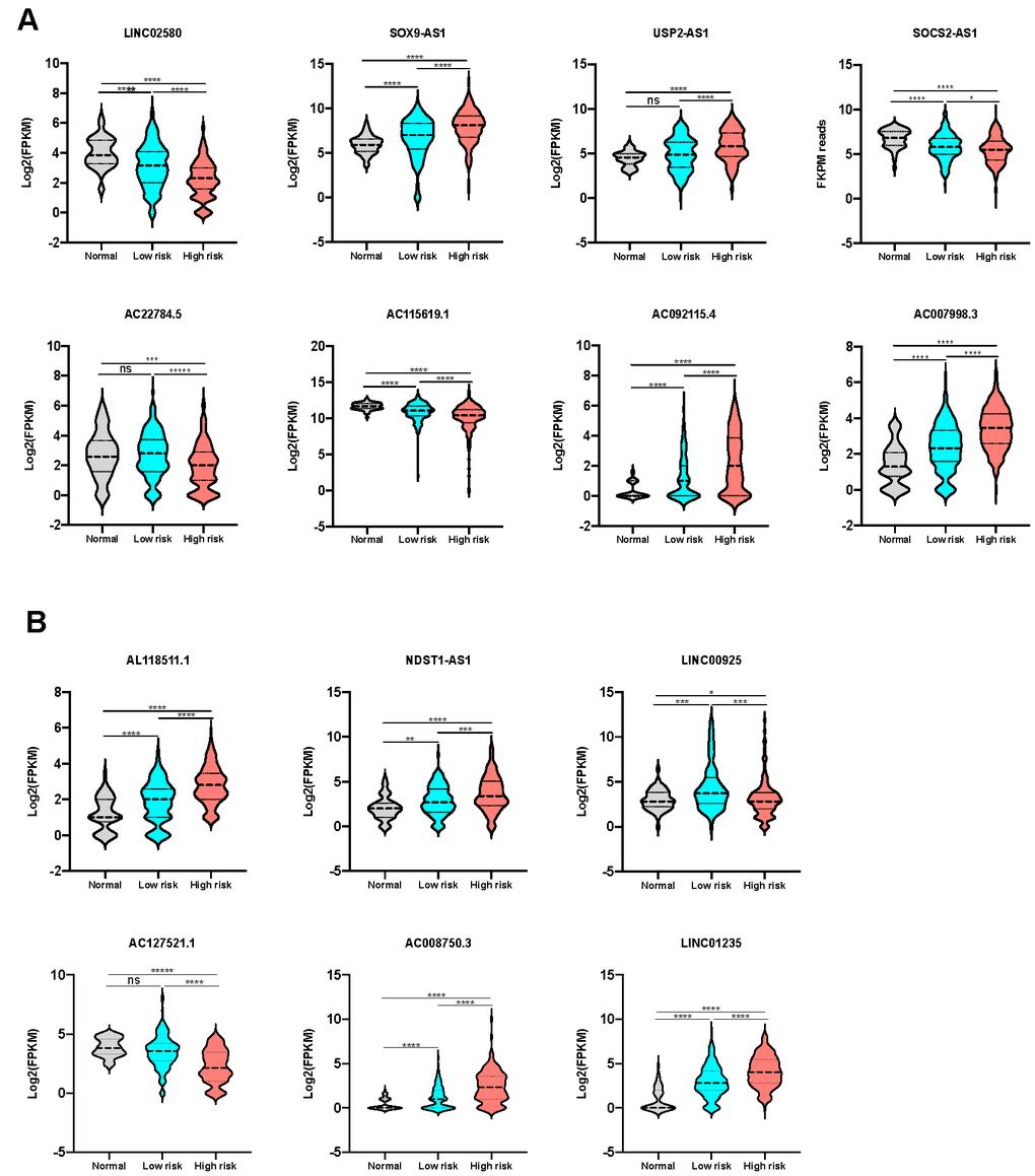 Expression level of lncRNAs from the signatures in different sub-groups. (A) The expression level of lncRNAs consisting OS classifier in control, low-risk and high-risk groups. (B) The expression level of lncRNAs consisting RFS classifier in control, low-risk and high-risk groups.