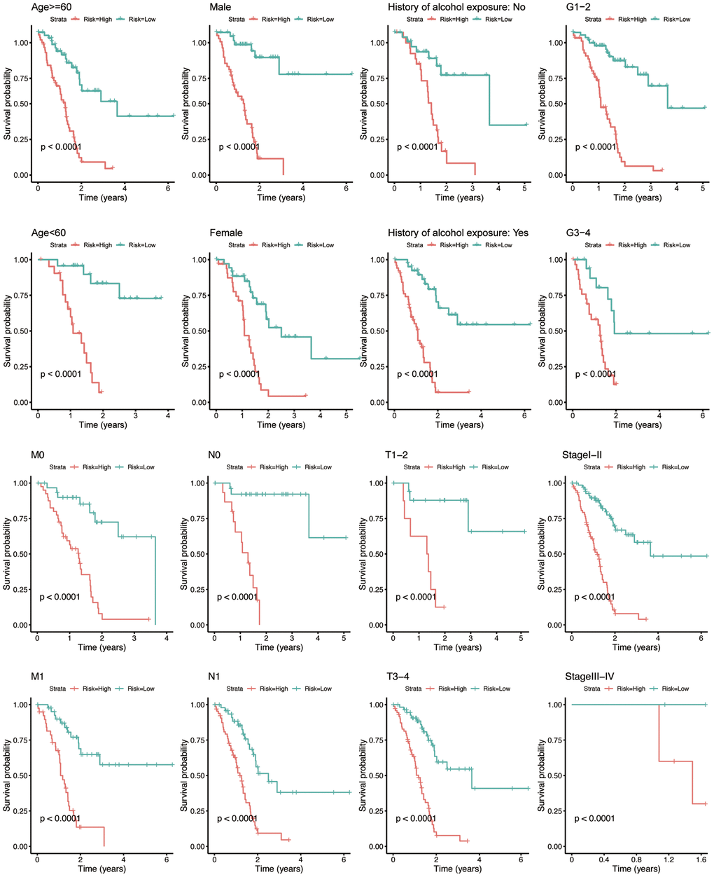 Kaplan-Meier analysis for PAAD patients between subgroups according to clinicopathological features, including age, gender, history of alcohol exposure, grade, M-, N-, T- classification, and AJCC stage. The X-axis indicates the time in years. The red curve represents the high-risk group, and the blue curve represents the low-risk group.