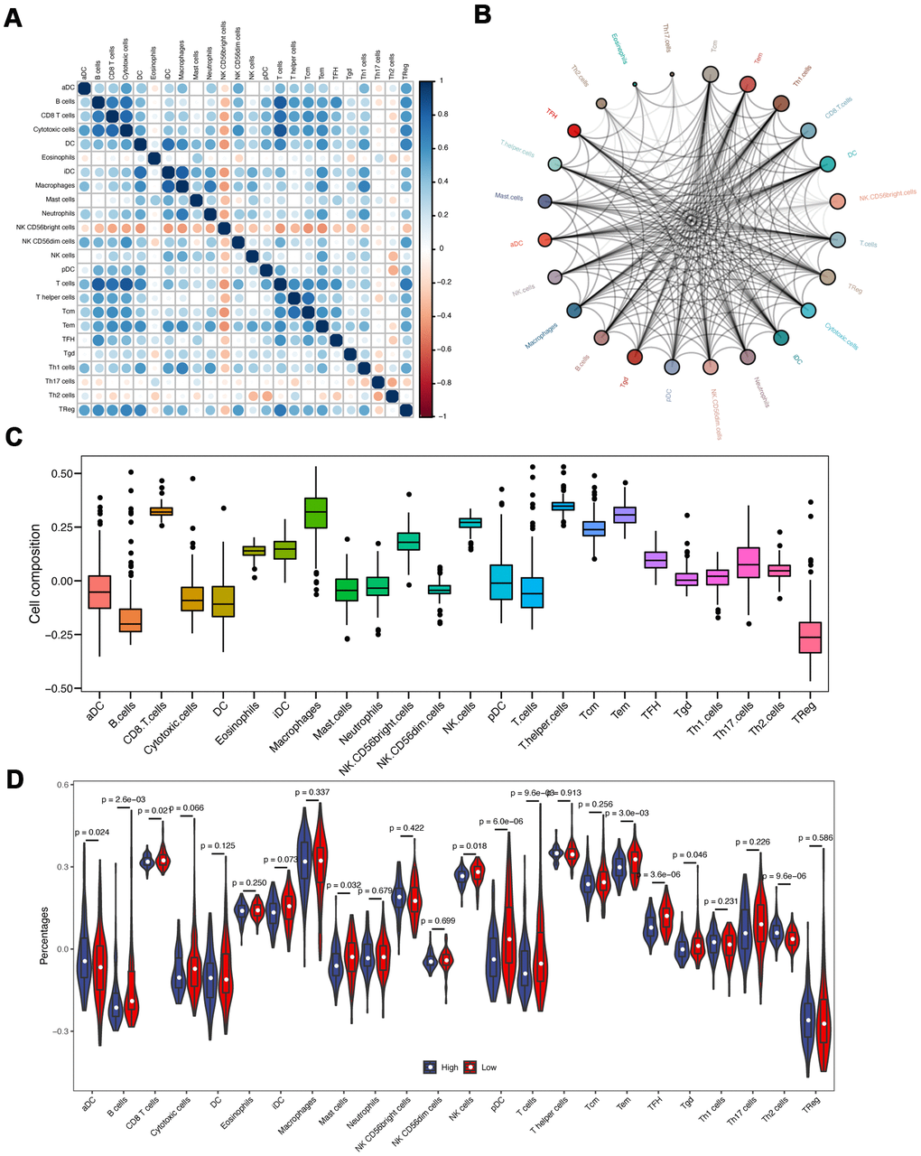 Immune infiltration analyses. (A) The correlation of different immune cells. (B) The immune cell interaction network. The big circle represented a strong interaction, and small one represented a weak interaction. (C) The composition analysis of immune cells in PAAD patients. The x-axis represents the type of immune cells, and the y-axis represents the proportion of immune cells. (D) The discrepancy of immune infiltration between high- and low-risk groups.