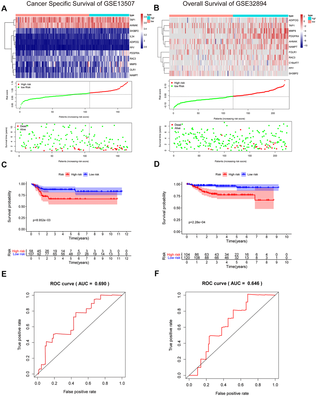 Validation of the risk signature in GSE13507 and GSE32894 datasets. (A, B) Heatmap of the 11 IRGs expression distribution, risk score distribution, and survival status between the low-risk group and high-risk group in the validation cohort. (C, D) Kaplan–Meier curve showed shorter survival time in the high-risk group patients. (E, F) ROC curve illustrated the prognostic value of the risk signature.