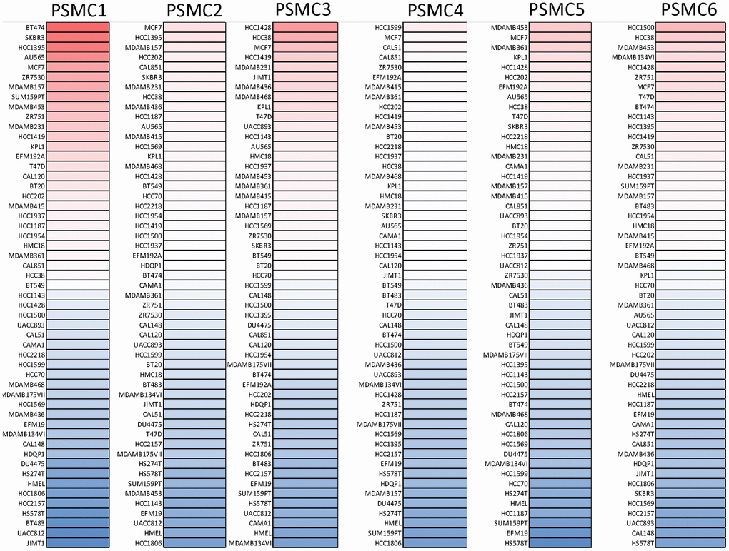 Expressions of proteasome 26S subunit, ATPase (PSMC) genes in different breast cancer cell lines. Heatmap plots were acquired from the CCLE database, which indicated expression levels of six PSMC members in breast cancer cell lines. The upper blocks in red indicate over-expression, whereas the bottom blocks indicate under-expression.