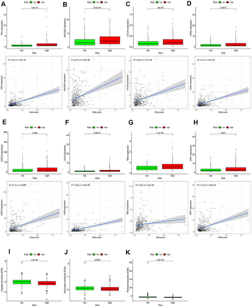 Assessment of the immune-/chemotherapeutic response in the different risk-groups. (A) PDCD1, (B) HAVCR2, (C) CTLA4, (D) CD8A, (E) CXCL9, (F) LAG3, (G) TBX2, and (H) PRF1 expression between the different risk-groups and correlation between their expression and risk score. The risk score was negatively correlated with the IC50 of chemotherapeutics, including (I) cisplatin, (J) doxorubicin, and (K) paclitaxel; *p 